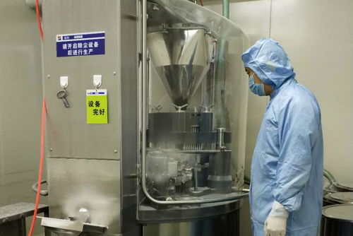 金花制藥廠順利完成GMP符合性自檢工作，全面承接總公司核心業(yè)務(wù)