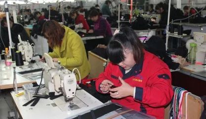 全國先進(jìn)集體！東平人社彰顯脫貧攻堅的“東平力量”